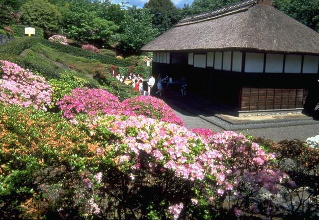 広見公園（旧邸）